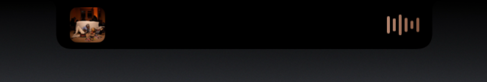 The MacBook notch showing album art on the left and an audio visualizer on the right