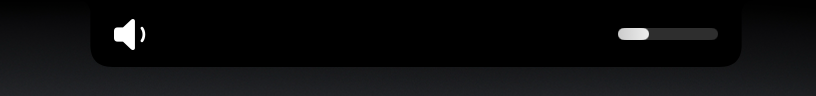 The notch showing a volume indicator: a speaker icon on the left and a white level bar on the right